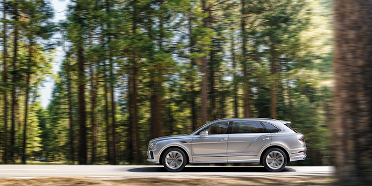 Bentley Edinburgh Bentley Bentayga Extended Wheelbase SUV in Moonbeam paint driving dynamically on a forest road